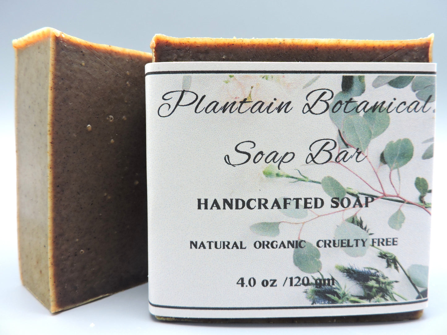 Plantain Botanical Soap Bar