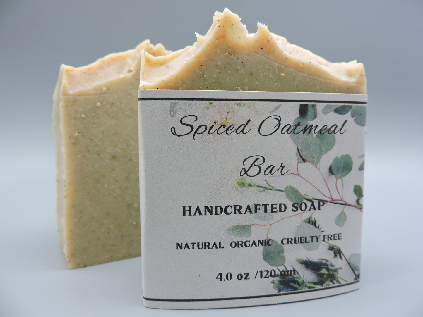 Spiced Oatmeal Bar